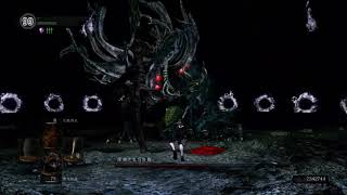 Manus SL1 NG+6 No Roll/Block/Spell/Item