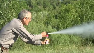 Montana wildlife expert offers bear-spray basics