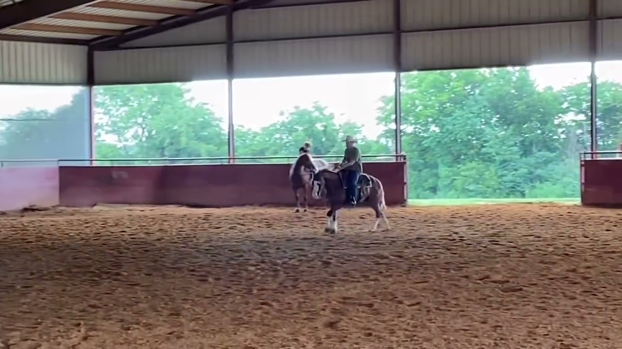 Is girth pain limiting your horse’s performance?