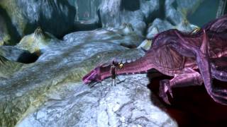 Dragon Age: Origins - Elf Girl Unarmed Combat vs All Bosses