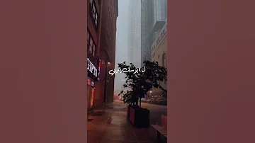 دايمآ في بالي و بعد الليالي حالات وتس اب 