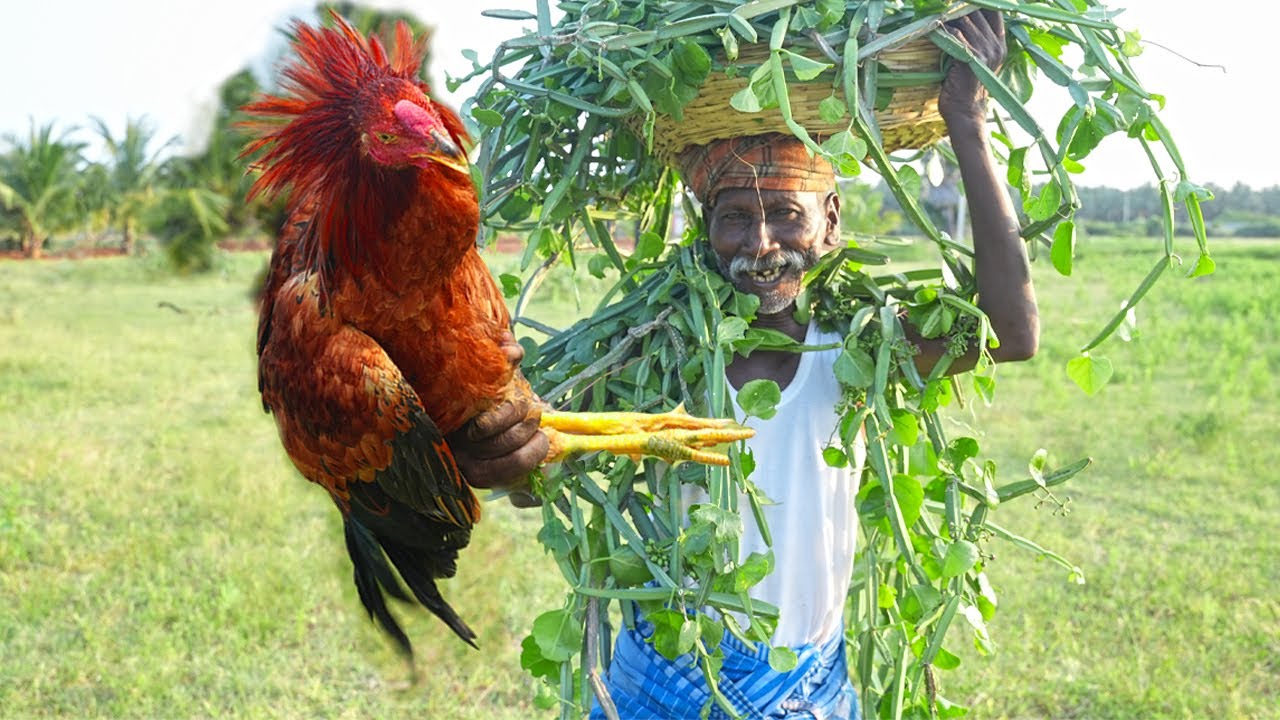 RED COUNTRY CHICKEN With PIRANDAI RECIPE | நாட்டு கோழி பிரண்டை வறுவல் | Grandpa's Special Food