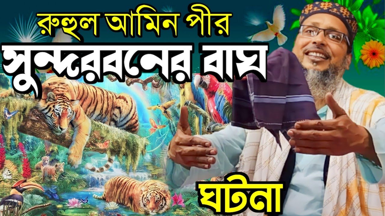 বসিরহাট হুজুর সুন্দর বনে ওয়াজ করতে জাবার ঘটনা, খোকা মাওলানার নতুন ওয়াজ, Khoka Maulana waz,