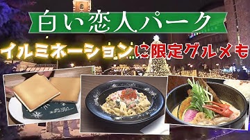 【もうすぐクリスマス】「白い恋人パーク」で幻想的な夜を…進化したスイートイルミネーションが今年も札幌の冬を彩る 期間限定アフタヌーンティーセットや“白いスープカレー”などのグルメもご紹介＜北海道＞