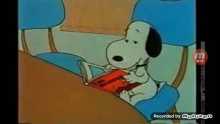 Snoopy In A Bad Mood