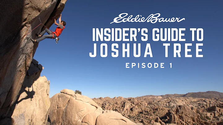 Mason Earle's Insider's Guide To Joshua Tree - Epi...