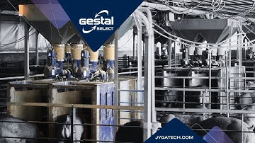 GESTAL Select | Performance Feeding System for Growing Pigs