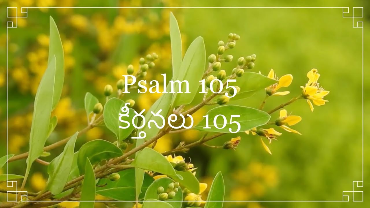 Telugu Bible |  Audio | Psalm 105 | పరిశుద్ధ గ్రంథము | కీర్తనలు 105 | Sravanthi  | Sunil Solomon