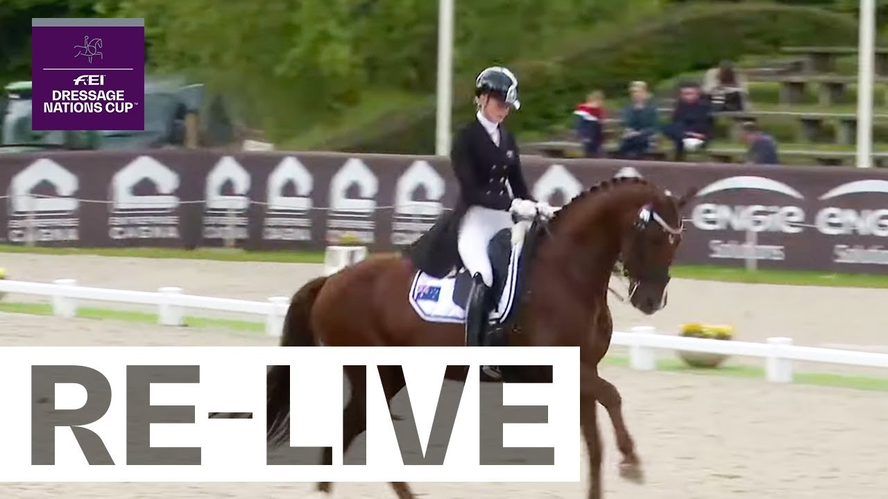 RE-LIVE | Grand Prix - FEI Dressage World Cup™ 2023/24 Western European League s'Hertogenbosch (NED)