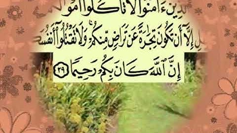 سورة النساء اية ٢٩ جمال القرش
