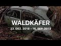 Waldkäfer Teil 1 (waldkeafer58)