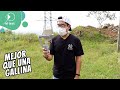 ¿El mejor estabilizador para smartphones? | Zhiyun Smooth Q3 | El test