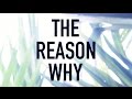 The reason why