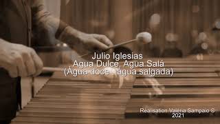 Julio Iglesias - Agua Dulce Agua Salá  (Água doce Água salgada)( Tradução)