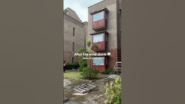 Wind storm ⛈️ in Bihar🇮🇳😱 #windstorm #disaster #dangerous #thunderstorm #nalandauniversity