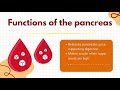 Diabetes Reversal:Organs Care (Pancreas)