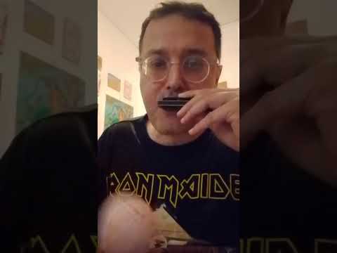 Wa Wa Dance Harmonica Bluesharp Armonica Gaitadeboca Mundharmonika Italy Italia Music Art