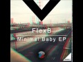 Dmr017  flexb  buffer original mix digiment records