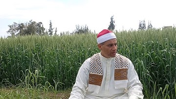 ورش عن نافع من سورة الزمر للشيخ على محمود النحاس١٤ فبراير ٢٠٢١