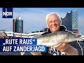 Auf Zanderjagd in der Hamburger HafenCity | Rute raus, der Spaß beginnt! | NDR