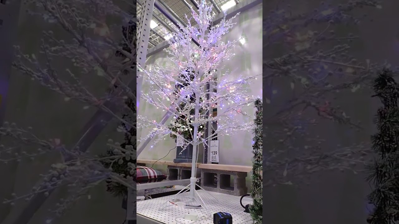 Beautiful Christmas 🎄 at 