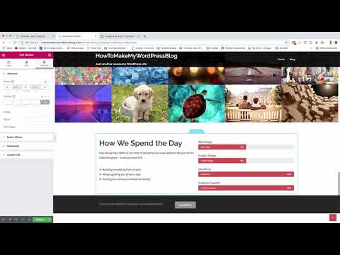 Margin, Padding & Border Explained on a WordPress Website
