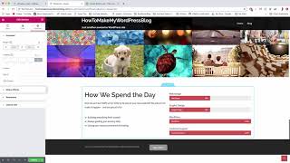 Margin, Padding & Border Explained on a WordPress Website
