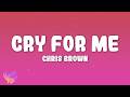 Chris Brown Cry For Me 