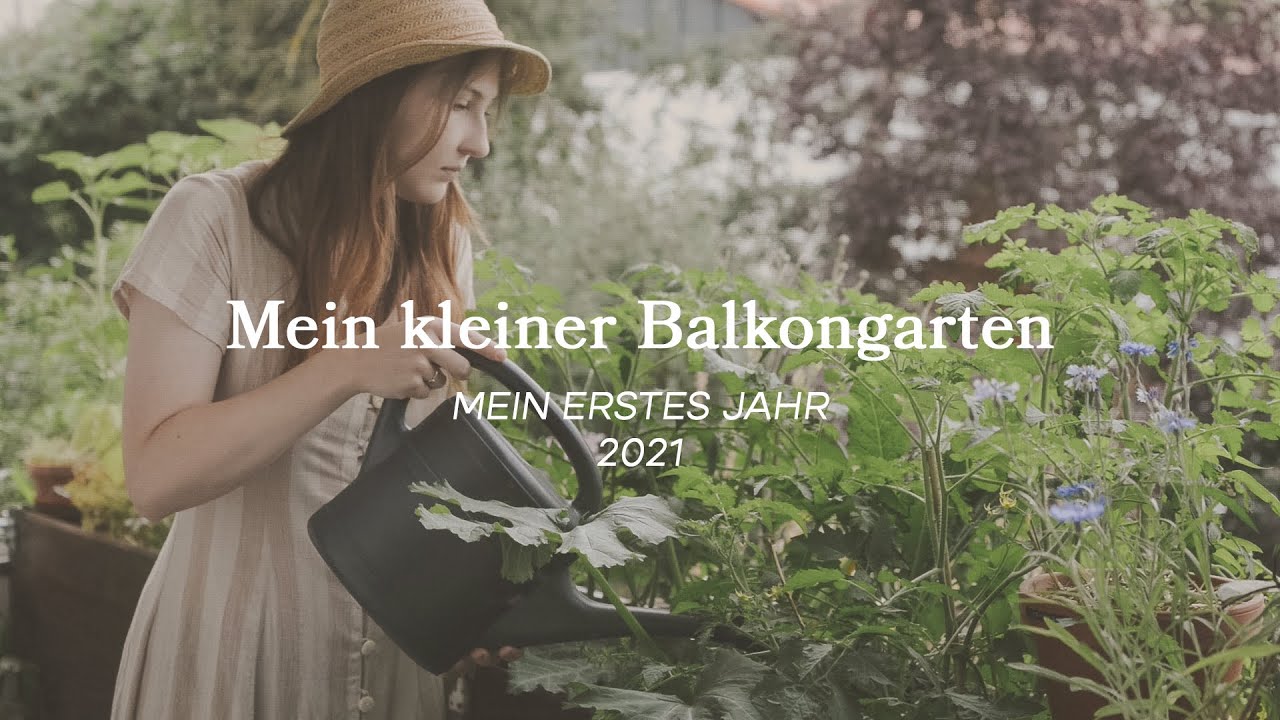 Mein kleiner Balkongarten: Mein erstes Jahr (2021) 🪴🍅🫐 | GERMAN
