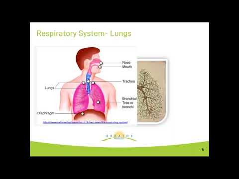 Not All Wheezing is Asthma