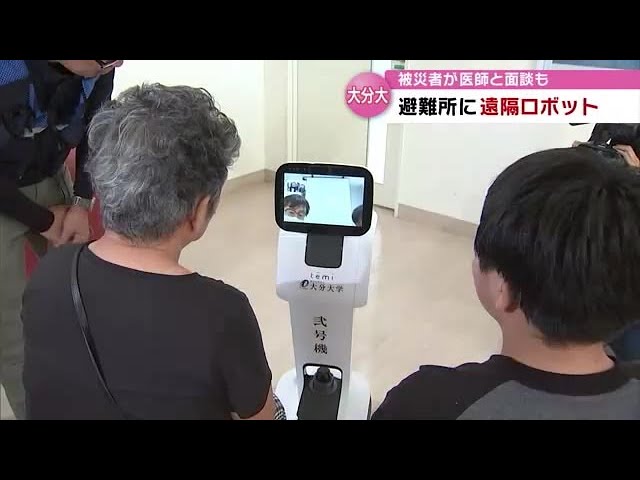 Remote robot