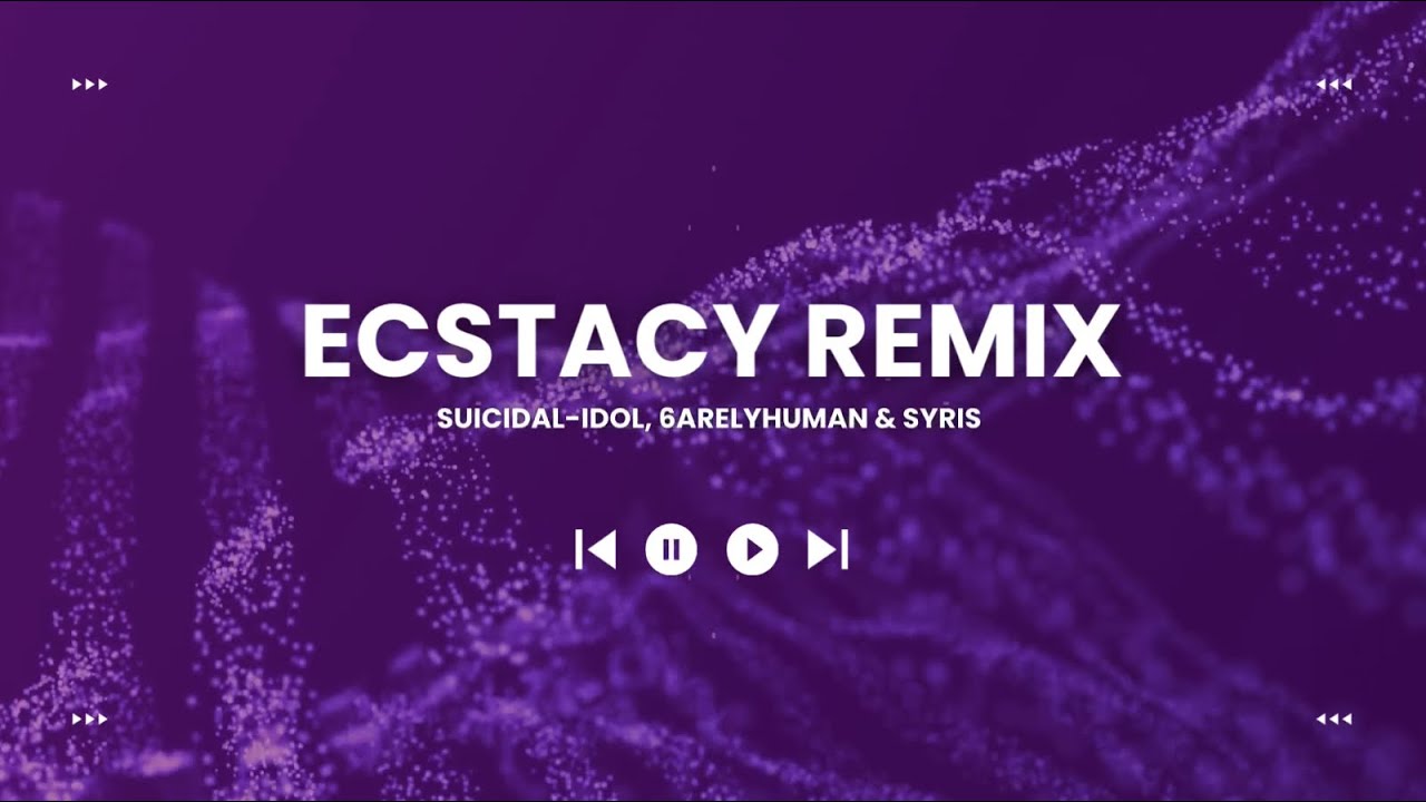SUICIDAL-IDOL, 6arelyhuman, syris - ecstacy (remix) LYRICS