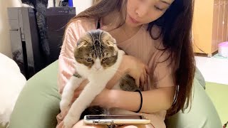 パパ猫に自分の子ども達の子猫時代を見せてみたら…！