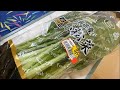【青菜炒め】簡単節約スピードおつまみLIVE ～単身赴任中の元料理人の日常ご飯＆おつまみ～