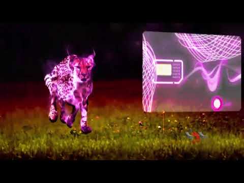 Enjoy From Speed Rightel