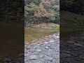 풍경영상 #자연풍경 #용문계곡 #naturevibes #naturelover #viralvideo #viralfyp #자연의소리 #southkorea #조용한 #잔잔한
