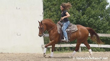 Inwhizable Image - riding in outdoor arena #2 - ValleyViewRanch.net