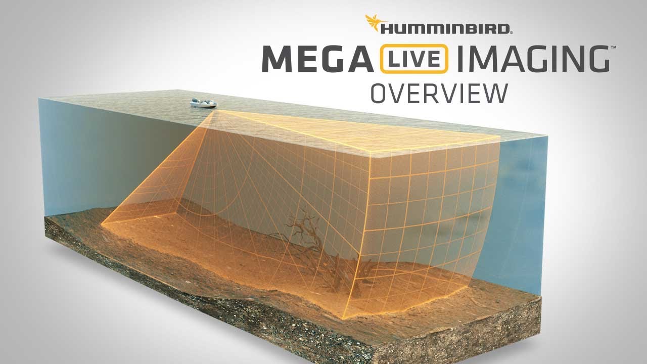 What is MEGA Live Imaging™ & How to Read It Humminbird YouTube