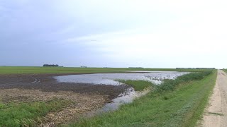 AgweekTV: Devils Lake area farmland flooding