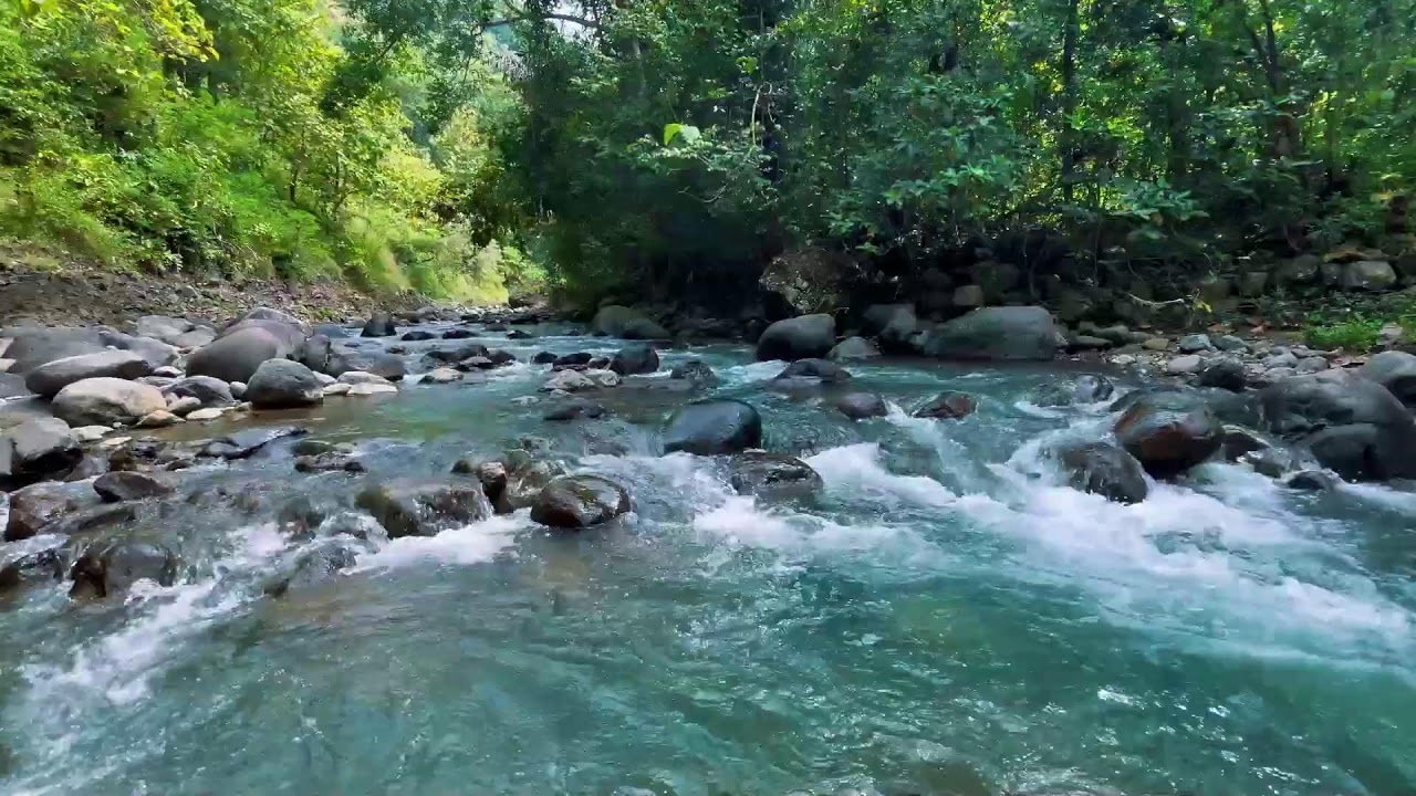 Relaxing River Sounds for Focus, Studying & A Peaceful Home 🌿 Relaxing Sleep Calming Anxiety