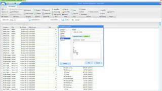 Famous DBxtra Data Grid Format Columns Profile