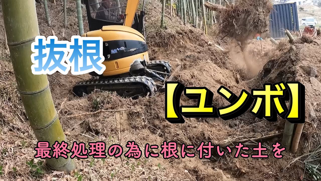 海の秘密基地＃５７【竹の抜根】