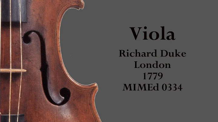 Viola