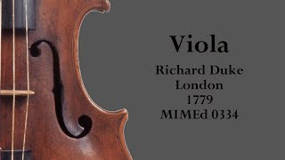 Viola