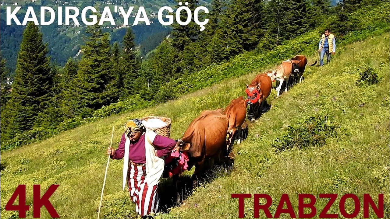 KADIRGA YAYLASINA GÖÇ BELGESELİ