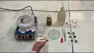 screenshot of the youtube video