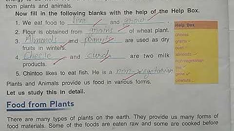 DAV Nahan Class-III Science Lesson-8, Part-3