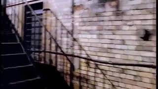 Watch Siouxsie  The Banshees Stargazer video