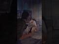 #thelastofus #thelastofuspart1 #joelmiller #gameplay #gaming #ps5 #zombies #tlou #playstation