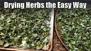 Drying Herbs the Easy Way